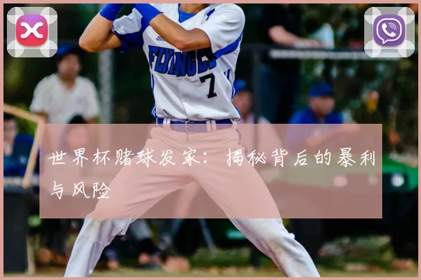世界杯赌球发家：揭秘背后的暴利与风险