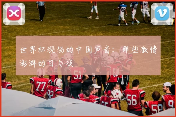 世界杯现场的中国声音：那些激情澎湃的日与夜