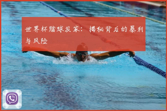 世界杯赌球发家：揭秘背后的暴利与风险