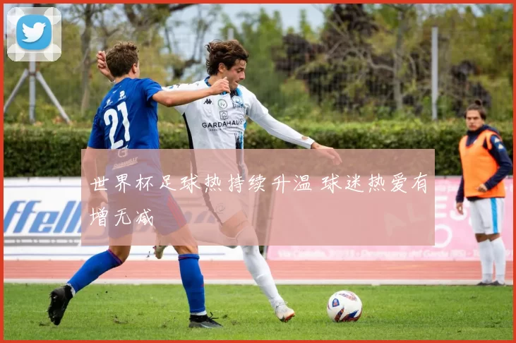 世界杯足球热持续升温 球迷热爱有增无减