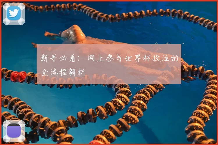 新手必看：网上参与世界杯投注的全流程解析