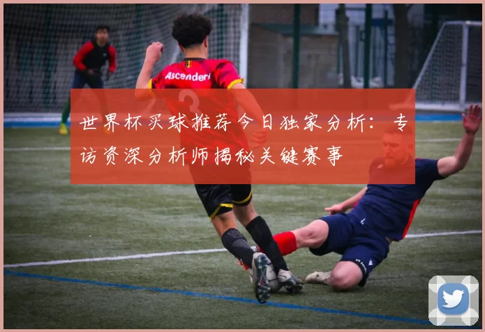世界杯买球推荐今日独家分析：专访资深分析师揭秘关键赛事