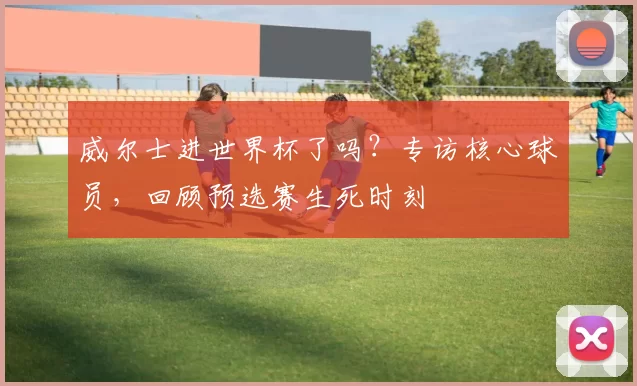 威尔士进世界杯了吗?专访核心球员,回顾预选赛生死时刻