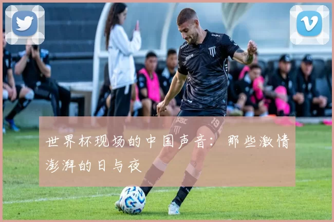 世界杯现场的中国声音：那些激情澎湃的日与夜