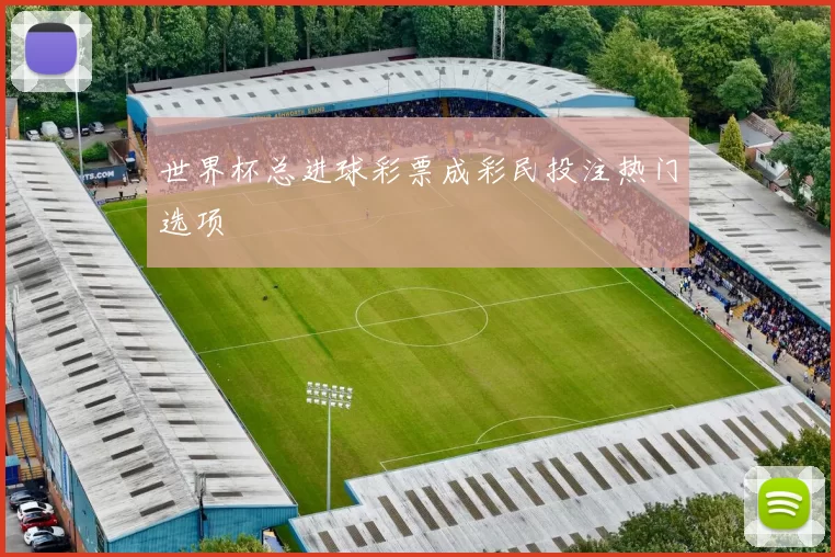 世界杯总进球彩票成彩民投注热门选项