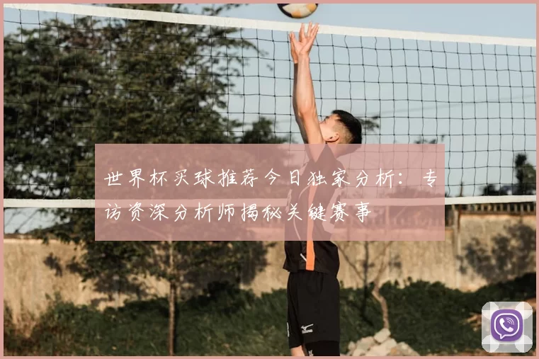 世界杯买球推荐今日独家分析：专访资深分析师揭秘关键赛事
