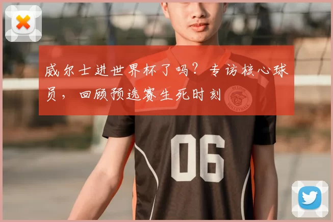 威尔士进世界杯了吗？专访核心球员，回顾预选赛生死时刻