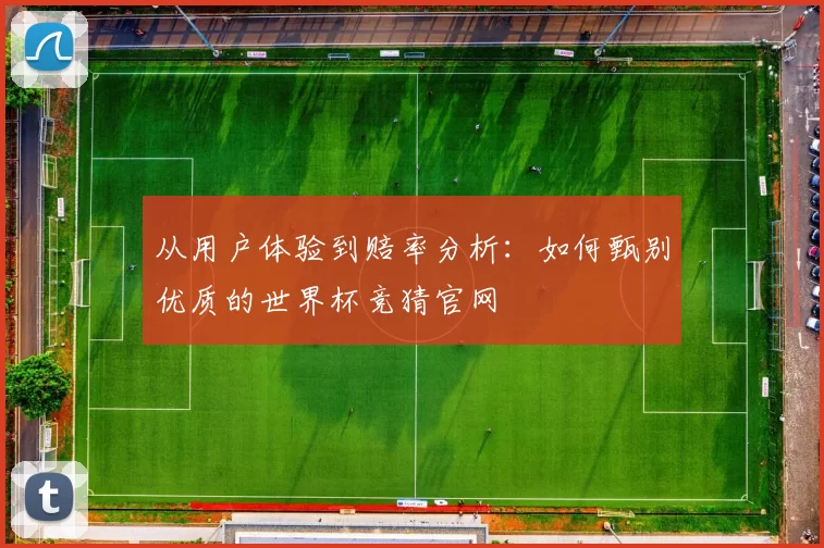 从用户体验到赔率分析:如何甄别优质的世界杯竞猜官网