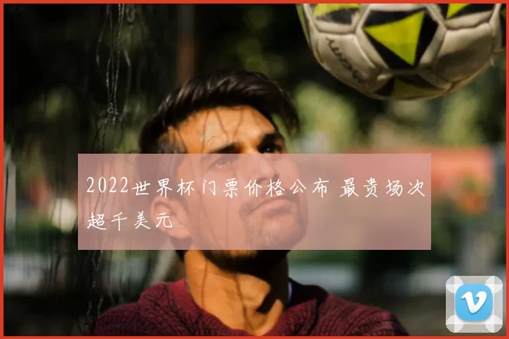 2022世界杯门票价格公布 最贵场次超千美元