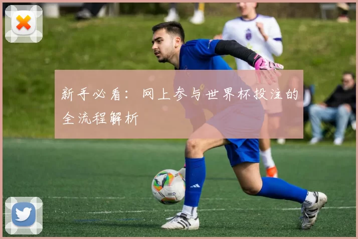 新手必看：网上参与世界杯投注的全流程解析