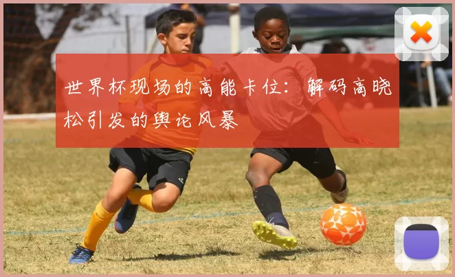 世界杯现场的高能卡位：解码高晓松引发的舆论风暴